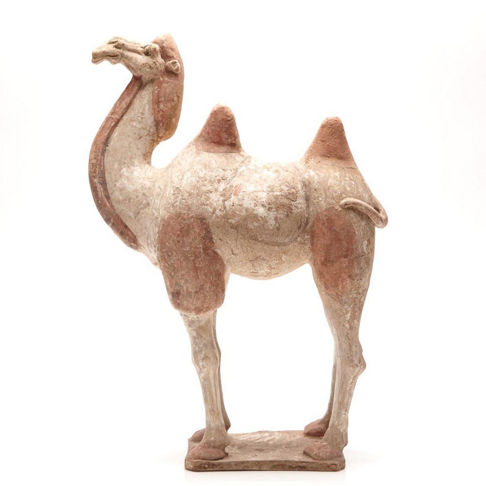 Tang Dynasty Ceramic Bactrian Camel Sculpture - Asian - Antiquities