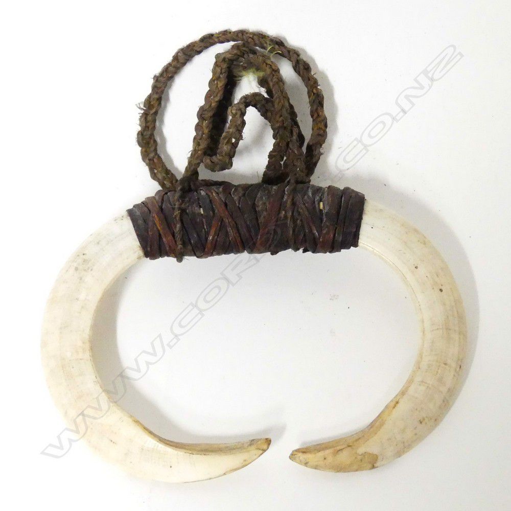 Wild Boar Tusk Necklace | Razorback Outfitters