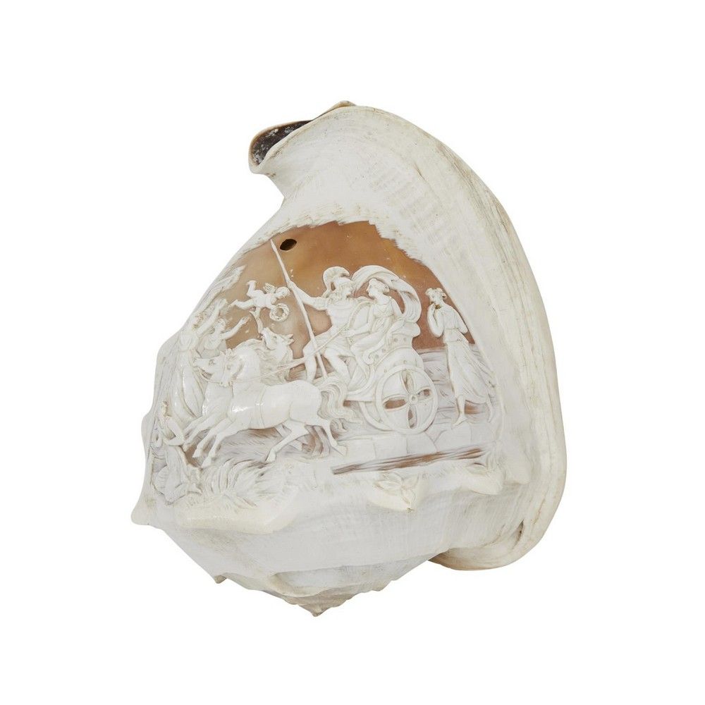 Italian Carved Conch Shell: Classical Chariot Scene with Cherubs ...