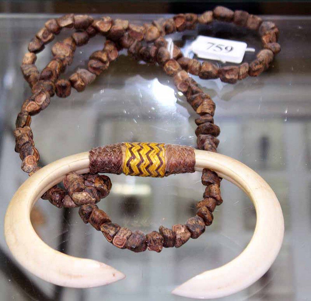 papua-new-guinea-boar-tusk-necklace-necklace-chain-jewellery