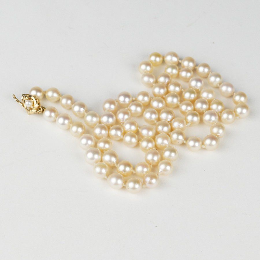 Cream Pearl Necklace with Gold Clasp - Necklace/Chain - Jewellery