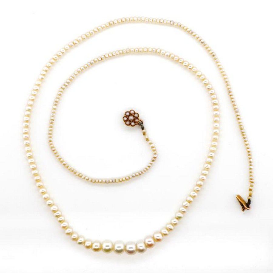 Antique Australian Pearl Necklace with 15ct Gold Clasp Necklace/Chain