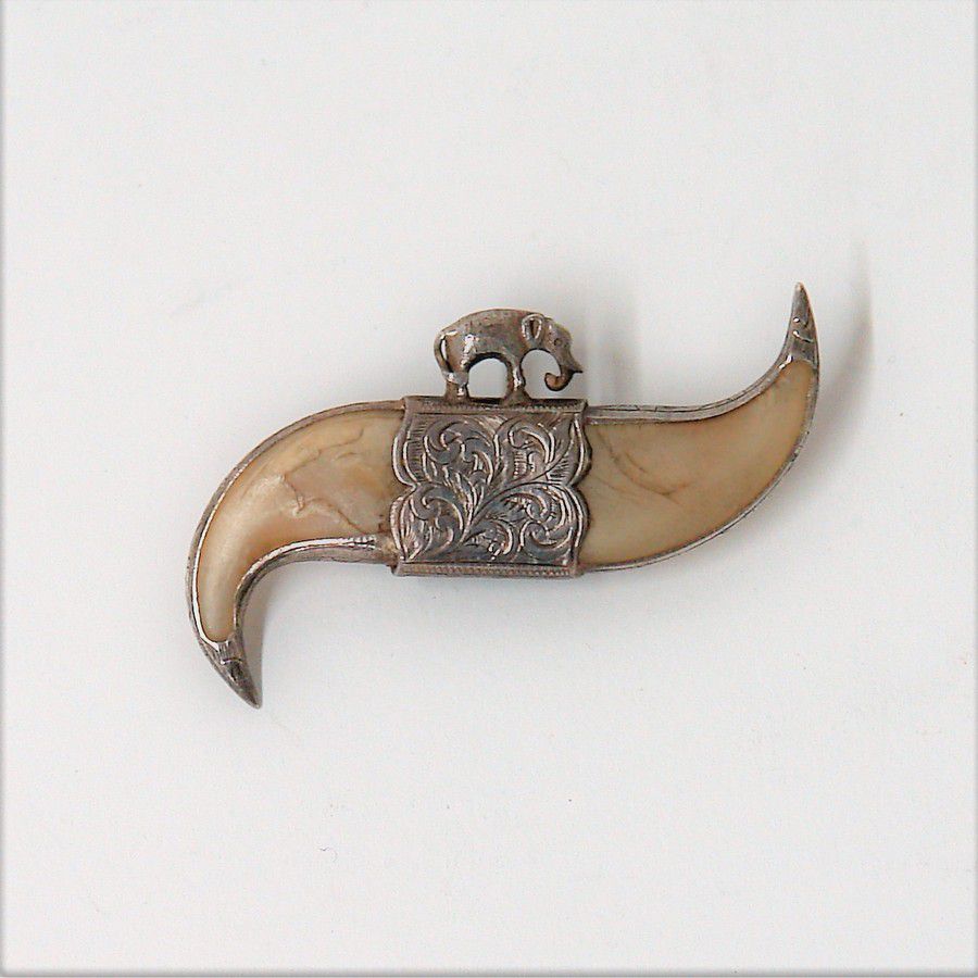 Silver Indian Tiger Claw Brooch with Elephant Surmount - Brooches -  Jewellery