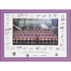 33400 MELBOURNE STORM NRL 2007 PREMIERS COLLECTOR PIN 