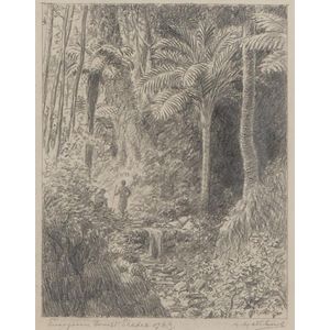 Framed drawing of Evergreen forest shades of N.Z., height 42.1…
