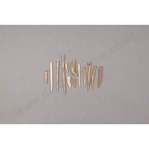 Thirteen bone sewing needles. .