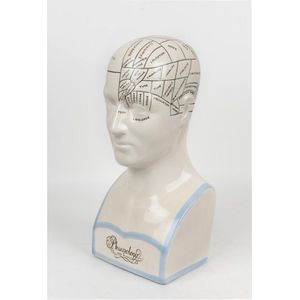 A porcelain phrenology bust, 46 cm high, 25 cm wide, 20 cm deep