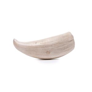 An antique sperm whale tooth, 19th century, 12.5 cm high..…
