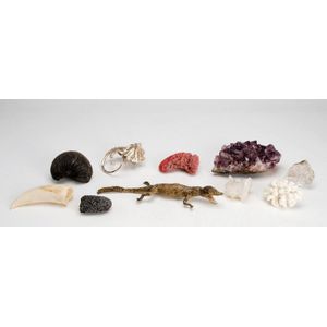 Natural History: Mineral specimens, crocodile, silver lizard,…