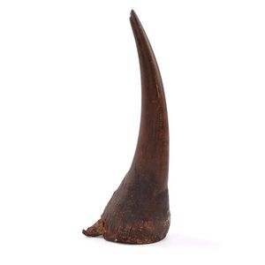 An African rhinoceros horn. The vendor inherited the Rhino horn…