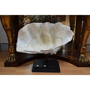 Large clam shell on stand, approx 60 cm high, 70 cm wide…