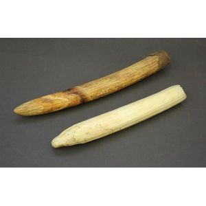 Two ivory tusks. Morley described these as 'Victorian pacifiers,…