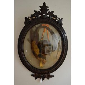 Antique oval convex framed taxidermy pheasant, carved walnut…
