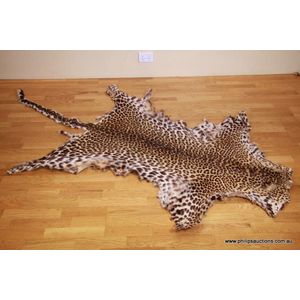 Leopard Fur Pillow, Springbok Skin 16x16 40x40cm For Sale at 1stDibs
