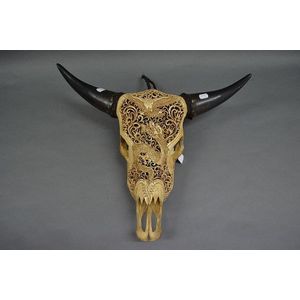 Finely carved cows head, polished horns, with fitted light,…