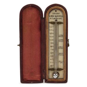 Gold Spring Hygrometer 55mm