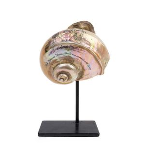 An engraved shell with an Australian coat of arms, 19th century