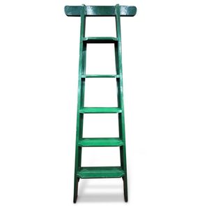 Green Tapered Library Ladder with Five Rails, 181 cm - Zother Furniture ...