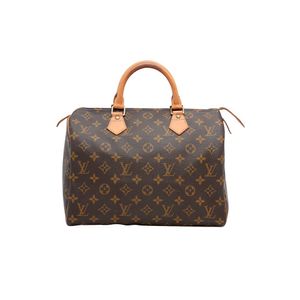 Louis Vuitton Speedy glitter limited edition Brown Leather ref