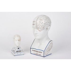 Two Victorian phrenology busts, 19th century, one by L. N.…