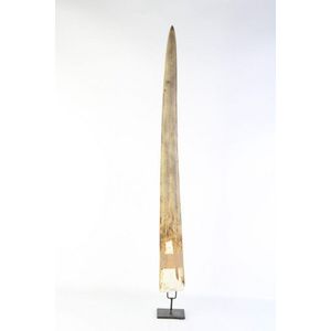 Swordfish bill on stand of large proportions with tapered shape…
