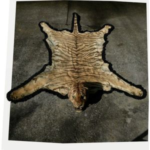 A tiger skin rug with full head mount, by Van Ingen & Van Ingen,…