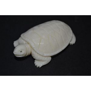 White coral carving of a tortoise