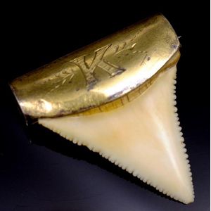 Gilt Metal Antique Shark Tooth Brooch with Engraved Initial - Brooches ...