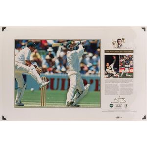 Steve Waugh's Adelaide All-Rounder: Limited Edition Display - Sporting ...