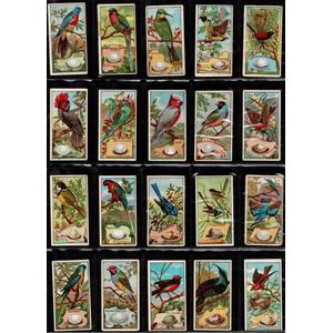 1895-1970s cigarette & trade cards in five albums, including…