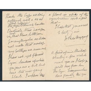 Henry Rider Haggard: Autograph on 1905 three-page handwritten…