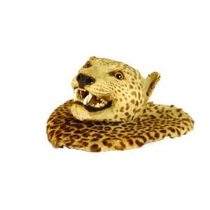 An early 20th century wall mounted taxidermy leopard's head,…