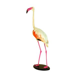 A taxidermy pink flamingo, modelled walking, the wing feathers…