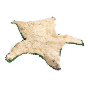A polar bear skin rug with taxidermy head on felt backing,…