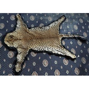 A mounted leopard skin pelt, with felt Backing, mid 20th…