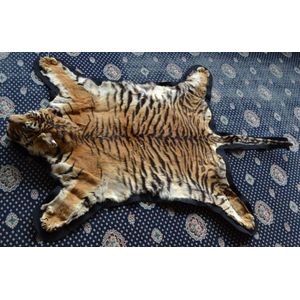 A mounted taxidermy tiger skin and head, with, felt Backing,…