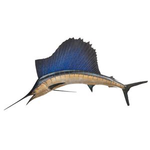 A large taxidermy model of a blue marlin, 82 cm high, 130 cm…