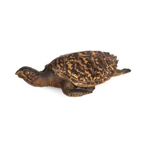 A taxidermy sea turtle, early 20th century, 44 cm long. NB: