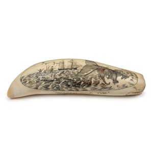 Scrimshaw whale's teeth, ivory and bone - price guide and values