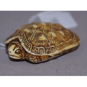 Japanese Ivory Tortoise Netsuke, c. 1920 - Netsuke - Oriental