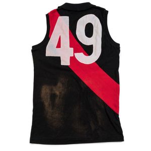 James Hird's Essendon Jumper, with Vsfl & Nubrik badges, and…