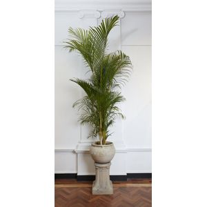 An Art Nouveau jardiniere and pedestal by Archibald Knox, circa&hellip;