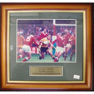 David Campese signed coloured photograph, signed and framed…