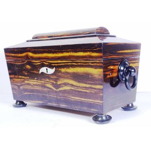 Large rare Regency sarcophagus tea caddy in coromandel wood…
