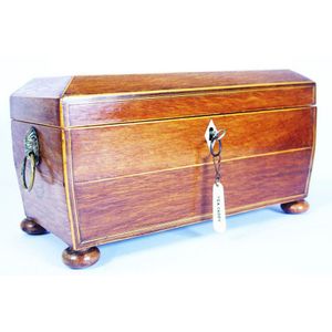 Large Regency casuarina tea caddy inlaid with various woods,…