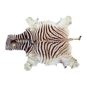 A large zebra skin, some minor areas of wear consistent with…