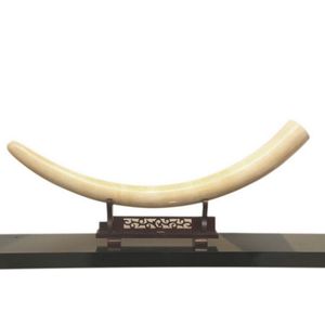 A mid-20th century East African period ivory tusk on a carved…