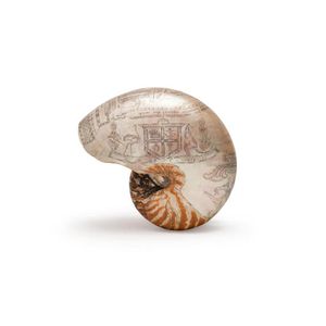 An ornately carved scrimshaw nautilus shell, with an Australian…