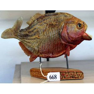 Taxidermied fish specimens, cased or mounted - price guide and values