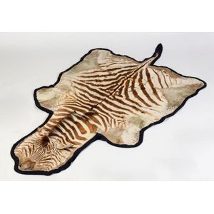 An Equus quagga (zebra) skin rug 226 cm high, 136 cm wide.…